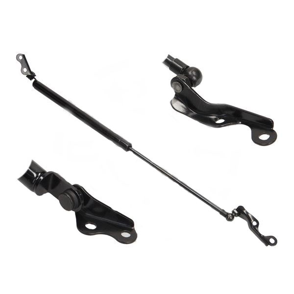 gas-spring-yaris-jp_156640484